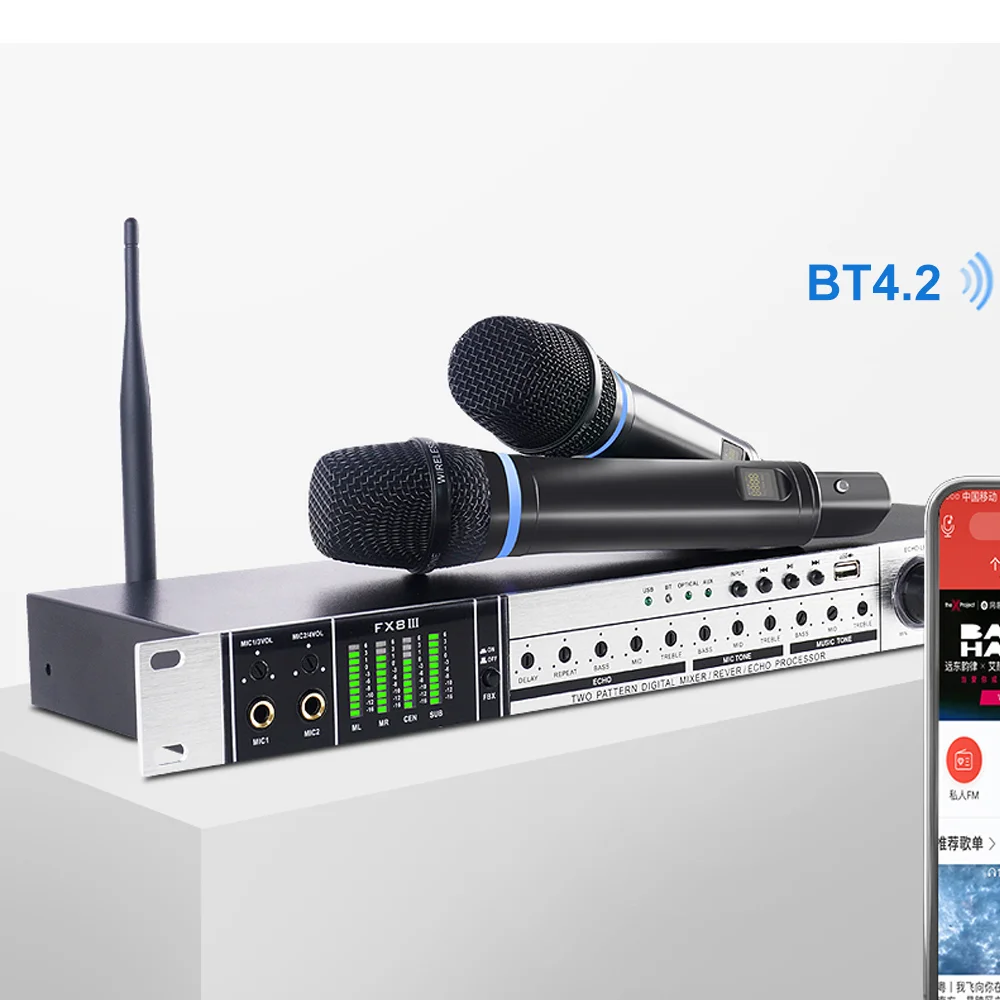 

Professional squeaking noise eliminate audio DSP karaoke processor with wireless microphone