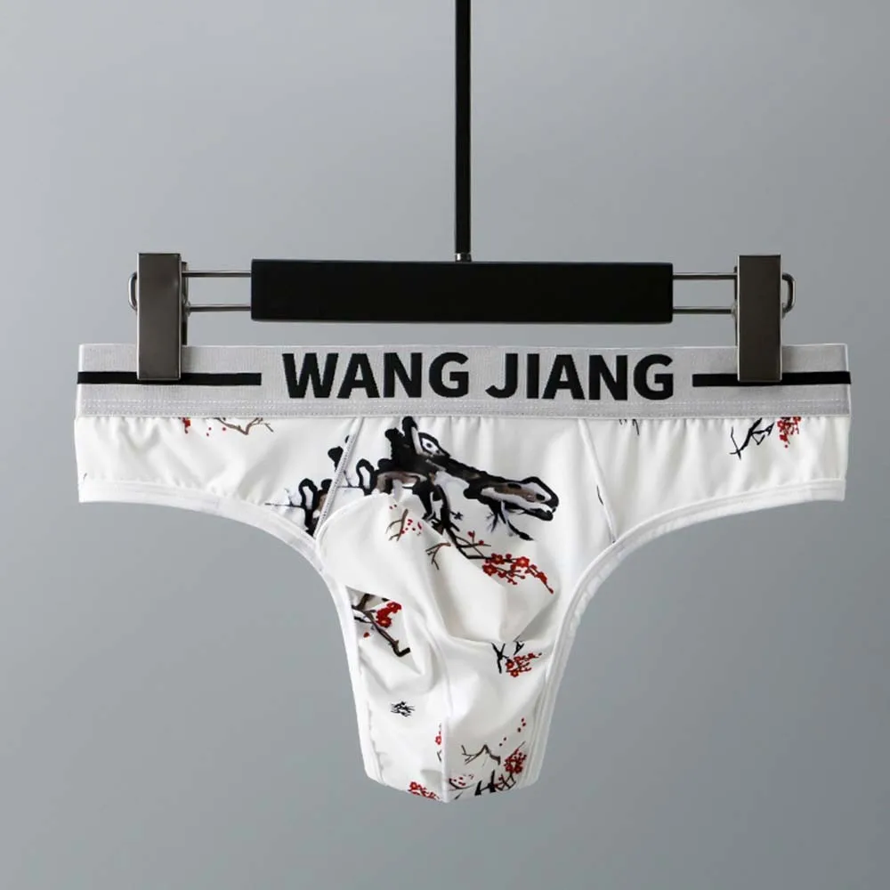 

Sexy Men Elephant Nose Briefs Ice Silk Underwear Sexy Pouch Breathable Underpants Erotic Hombre Male Lingerie Tanga Underpants
