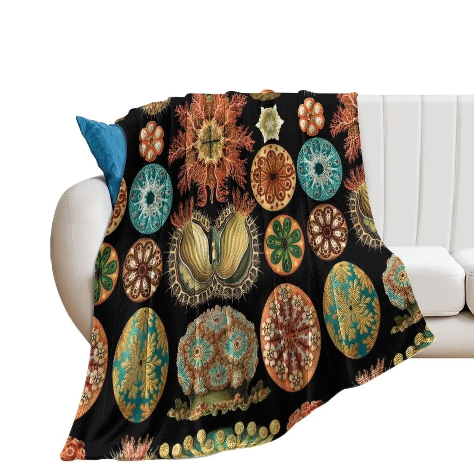 Асцитацея-морские сквирты бросать одеяло модные диваны на заказ Хэллоуин одеяла