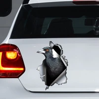australian magpie car decal australian magpie car magnet australian magpie sticker