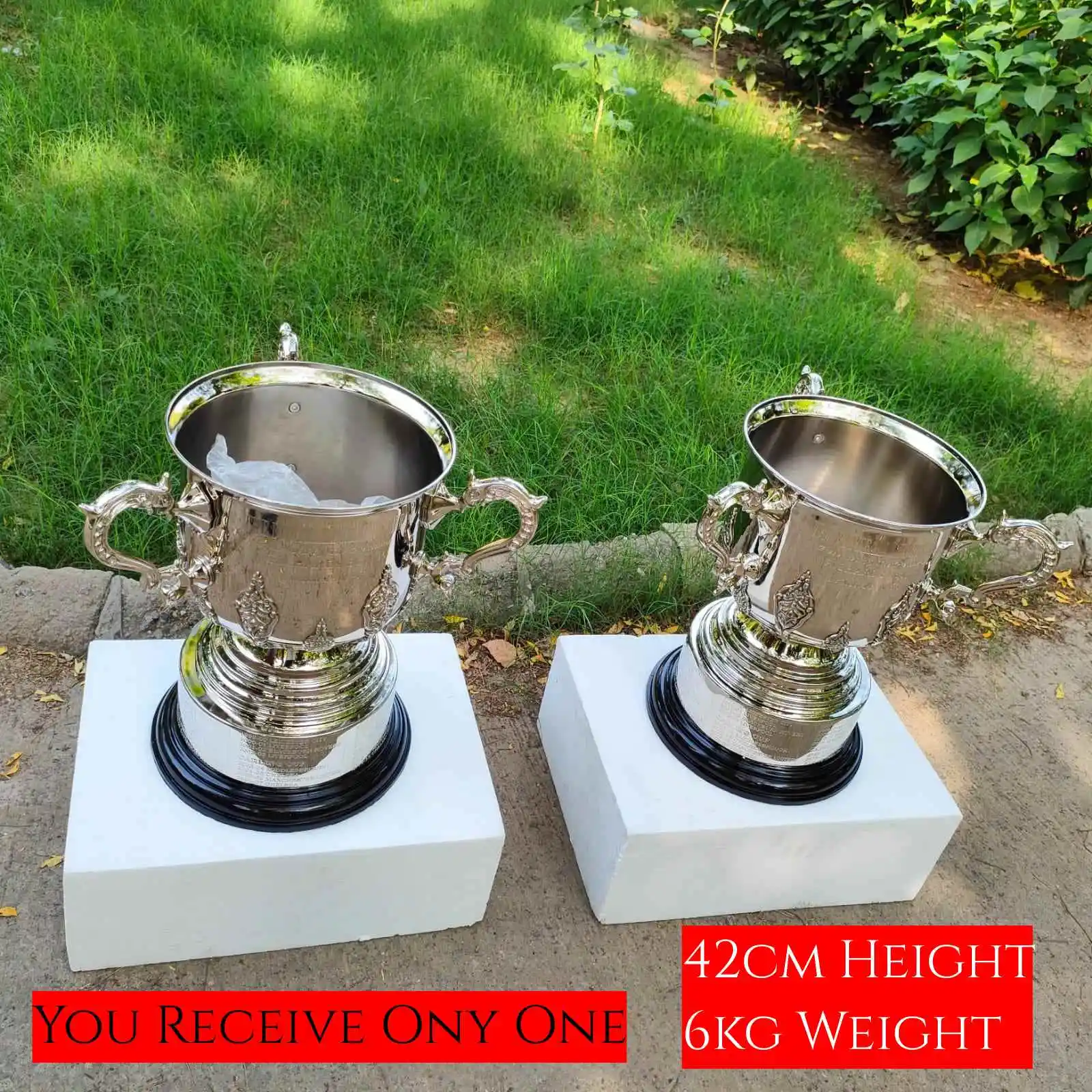 

England League Trophy Champions Trophy 42 cm Metal Version