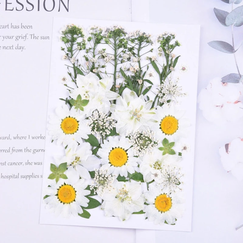 

4x bf 1 Набор сделай сам сушеные цветы смола заполнение УФ эпоксидный цветок для дизайна ногтей прессованные цветы наклейка для рукоделия