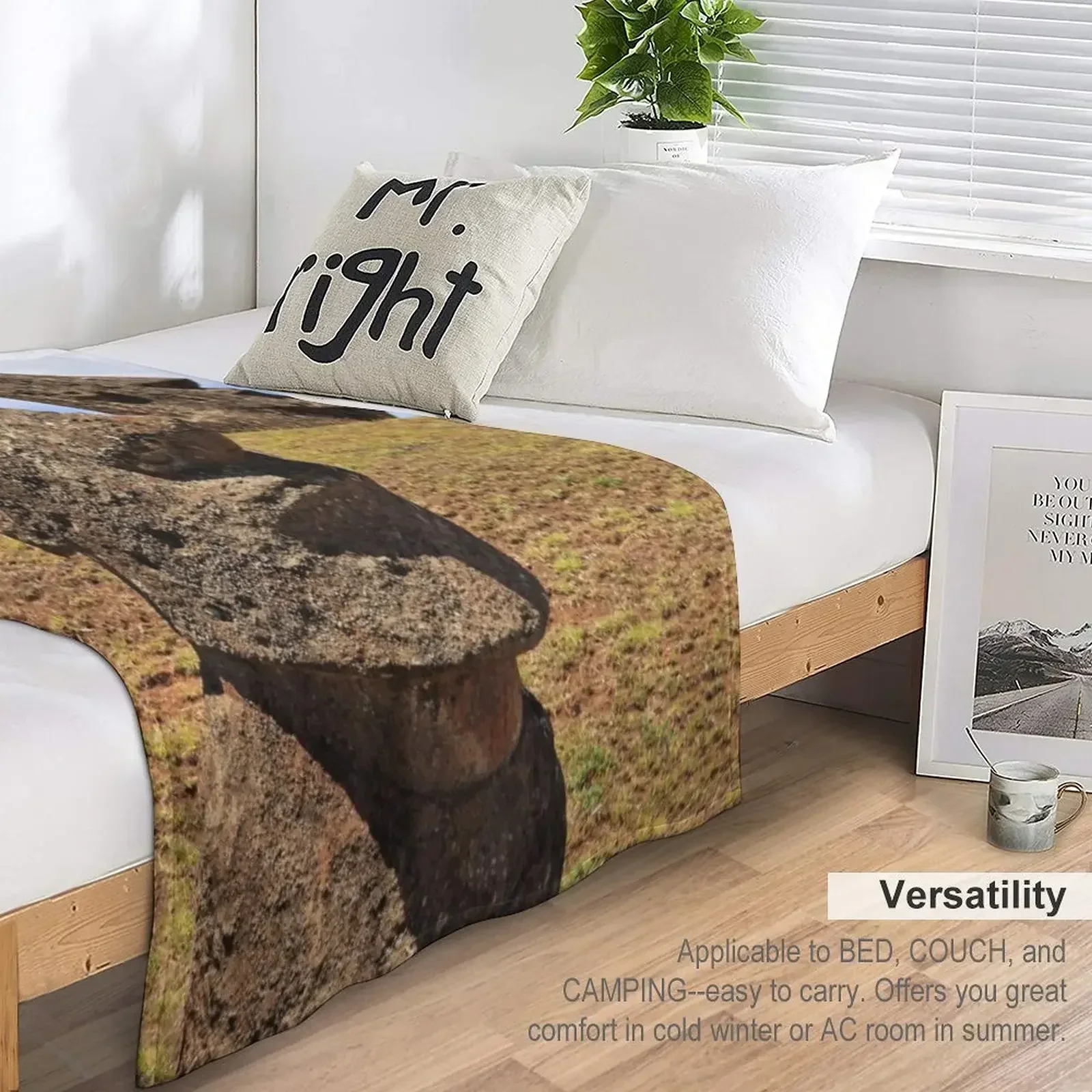 Moais at Rano Raraku - Rapa Nui Пасхальный остров Плед диван-кровать Одеяла Диваны Украшения