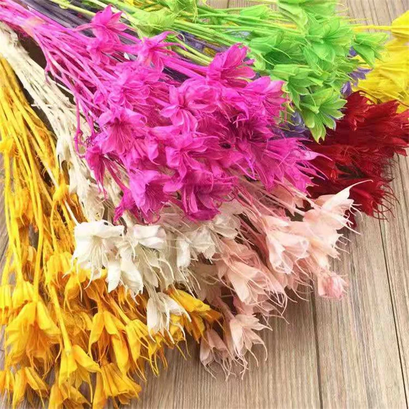 

50g Colorful Dried Anise Star Flower Branch Decoration Long Lasting Natural Octagon For Home Arrangement Wedding Party