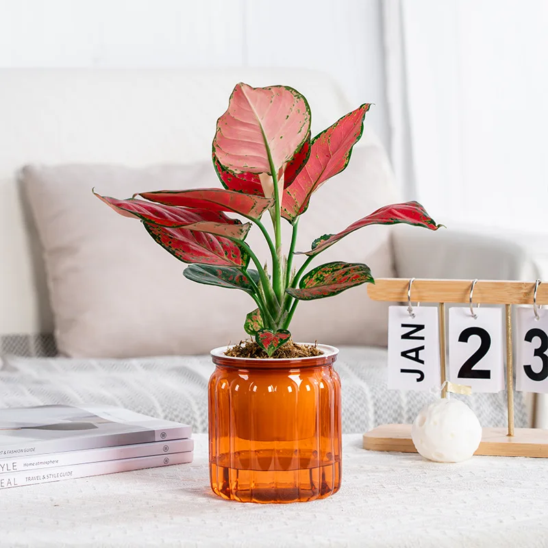 

Пластиковый цветочный горшок, горшок для суккулентов, искусственные горшки, Домашний Настольный цветочный горшок, домашний бонсай, Современное украшение