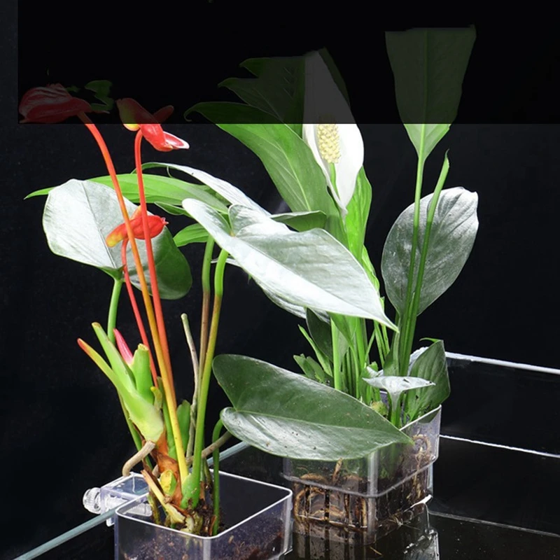 Рыбный резервуар стакан растений прозрачные подставки для гидрокультуры