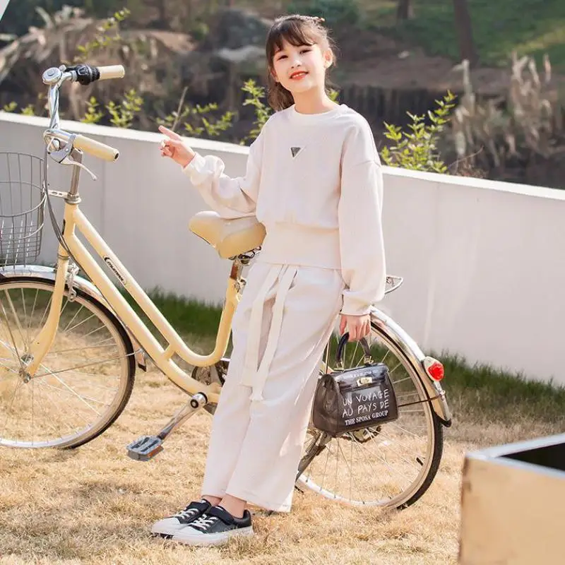 

2 Piece Casual Sweatshirts And Pants Sets For Girls 2PCS Hoodies And Trousers Outfits 5-14 Years Girls Sport Clothing Suits