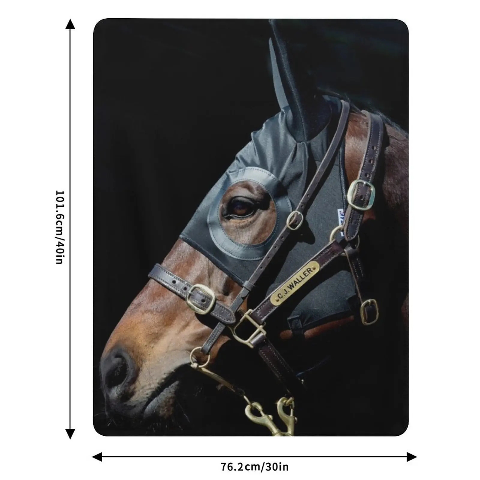 Плед Winx - Racehorse, мягкий и удобный плед для дома, на все времена года (art.: 3920dc3380da8) - 3920dc3380da8