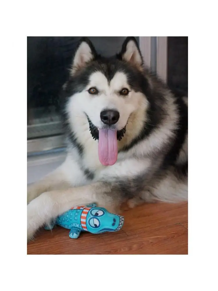 

New Bite-resistant Pet Vocal Interactive Toy Dog Teeth-grinding Toy