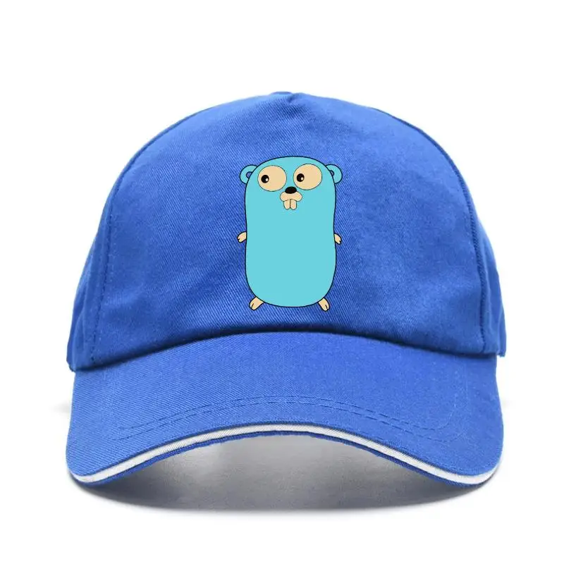 

Go Goang Gopher T новая шляпа go goang gopher prograing anguage dev code deveoper prograer go gopher