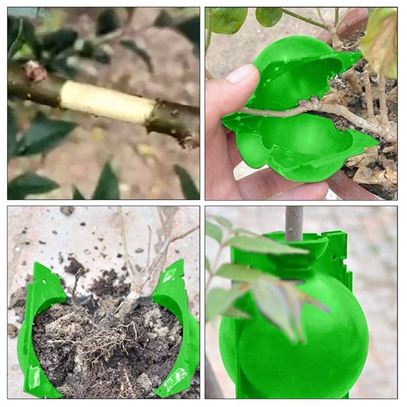 

50 Pieces Of Plant Propagation And Rooting Ball Device-Reusable Plant Propagation Grafting Box (S, Green)