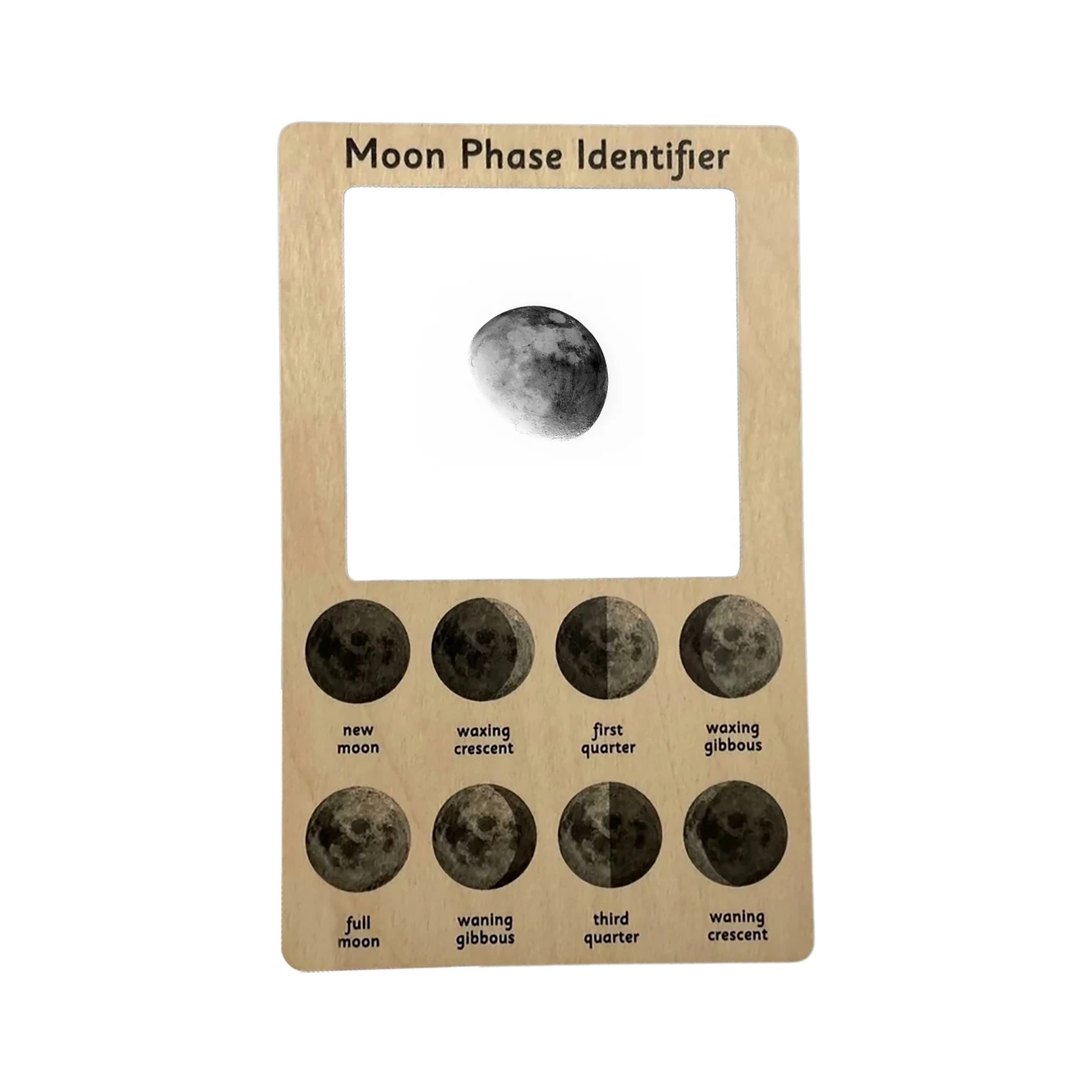 

Nature Guide Finder Double-sided Nature Viewfinder Moon Phases Cloud Birds Mini Beasts Identification Guide Kids Learning Toys