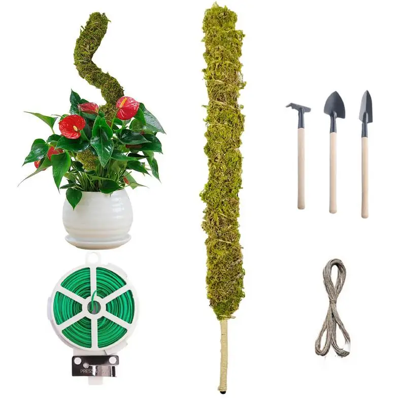 

Moss Pole Plant Stakes Handmade Plant Sticks Support Slim Moss Stick Potted Plants Stick Perfect For Small Medium Climbing