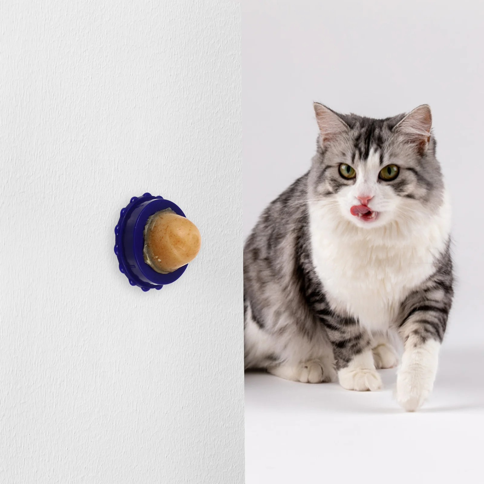 

Cat Catnip Candywall Energycatssnack Nip Lickable Treat Lick Snacks Rollerball Sugar Avocado Lollipops Toy Toys Licking Licker