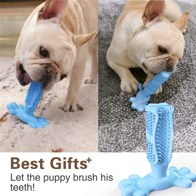 

Pet Dog Cactus Interactive Rubber Chew Toys For Small Large Dogs Tooth Cleaning Toothbrush For Small Large Dogs Treat Dispenser