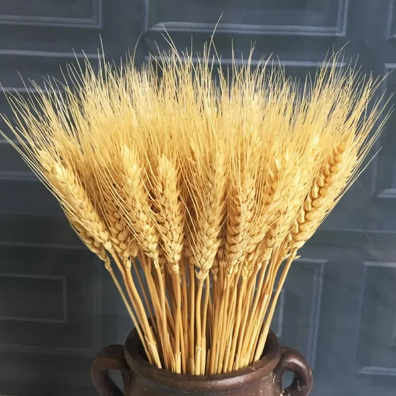 

NEW 23cm Wheat Ear Artificial Flowers Natural Dried Flowers For Home Decor Table Wedding Decoration DIY Preserved Flowers Bouque