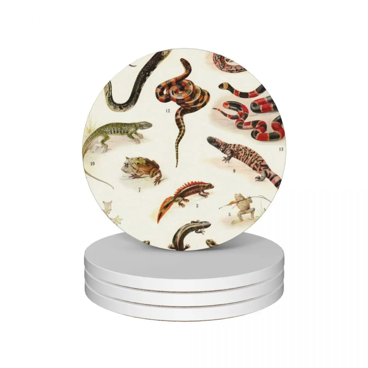 Adolphe Millot - Batraciens et рептилии-французский винтажный zoology постер керамические