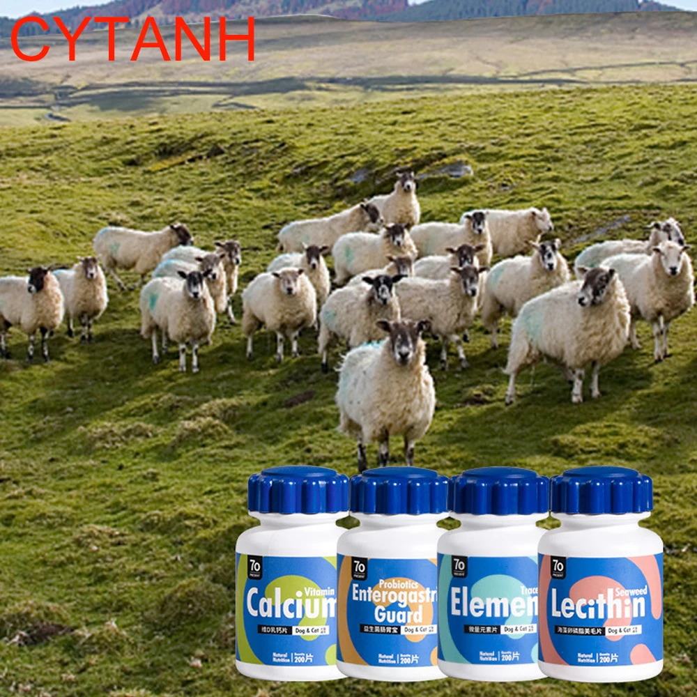 

Dog Trace Elements Dog Calcium StrongTablets 200 Tablets Beauty Hair Tablets Health Growth Products Pet Nutritional Probiotics