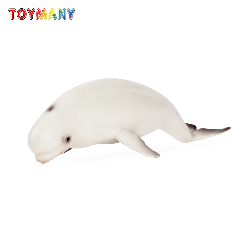 Фото Toymany моделирование Кит Белуга океан животное модель игрушки мини-фигурки куклы фигурки игрушки детский подарок украшение торта №1