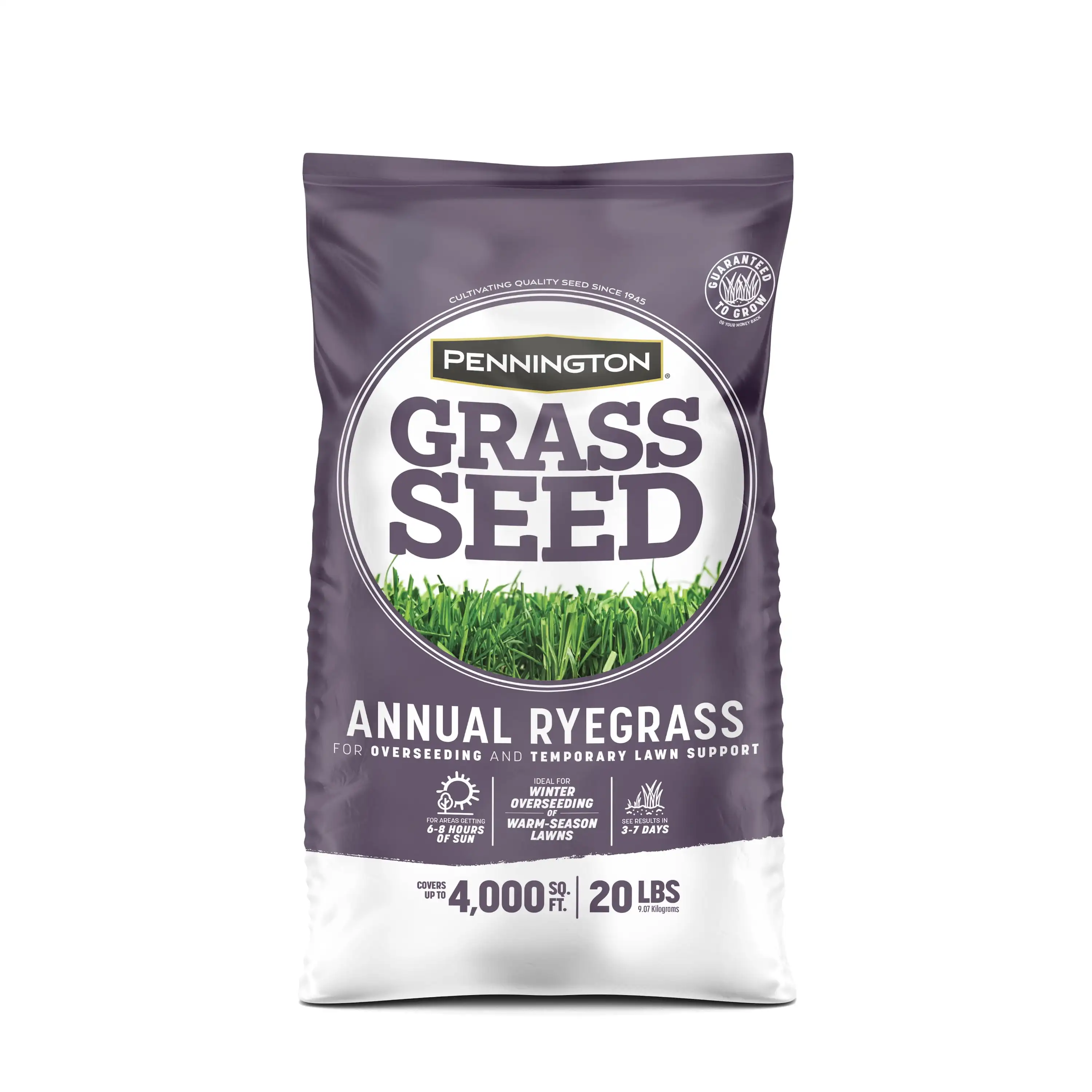 

Pennington Annual Ryegrass Grass Seed, for Sun to Partial Shade, 20 lb.