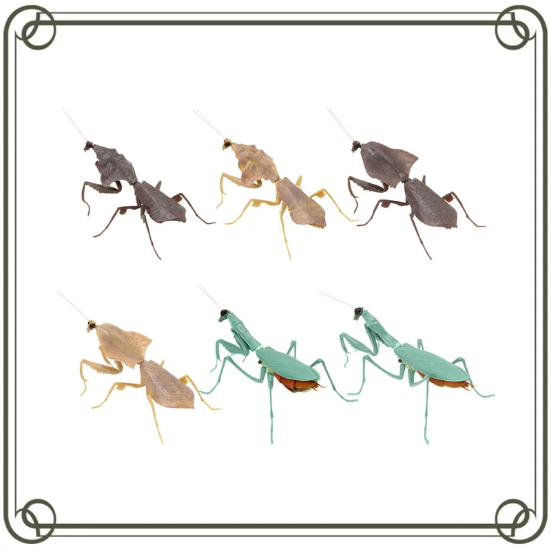 Фигурки насекомых Bandai Deroplatys Brancsikia Series02