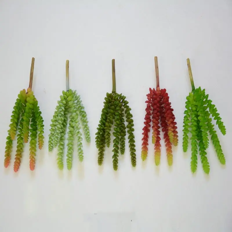 

Art Plants More Than Meat
