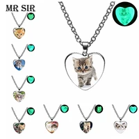 cute pet cat heart pendant necklace glow at night charm glass fashion men women luminous necklace for best friends gifts jewelry