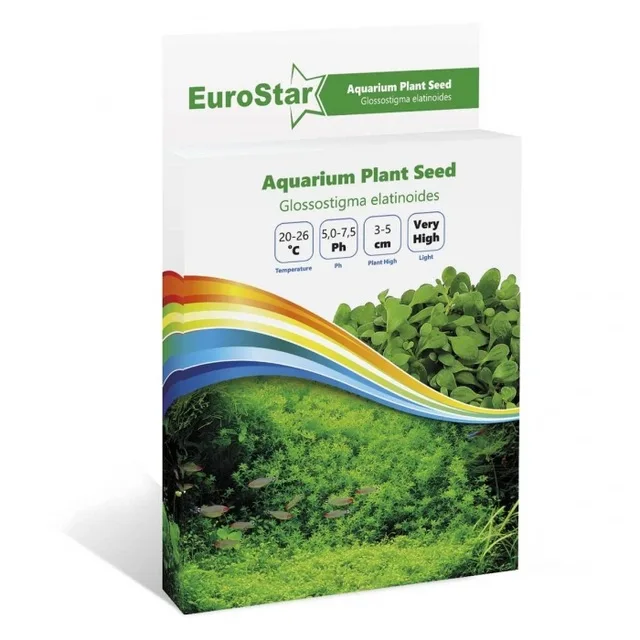

Eurostar Plant Seed Glossostigma Elatinoides 273163826