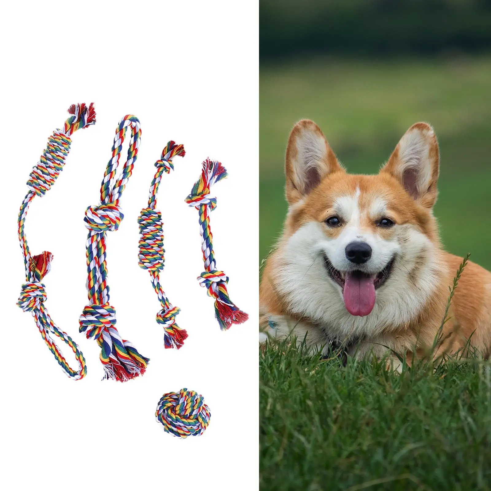 

5 шт., жевательные игрушки для собак