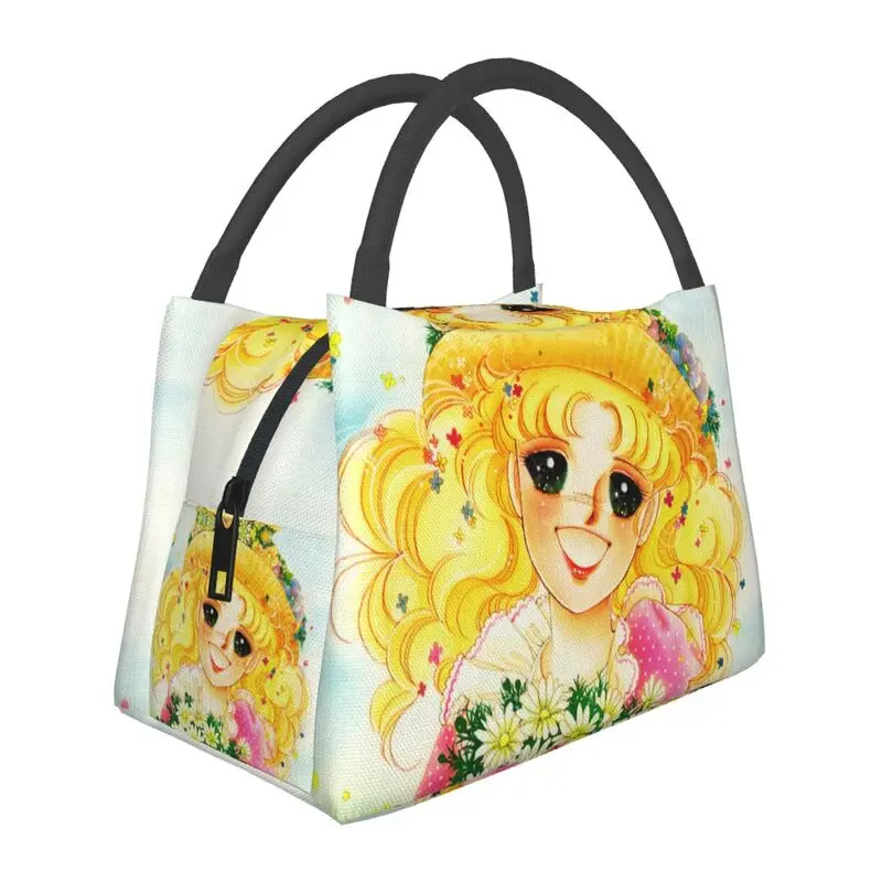 

Сумка для ланча женская теплая, Термоизолированный Ланч-бокс для пикника, кемпинга, работы и путешествий, конфеты манга, конфеты