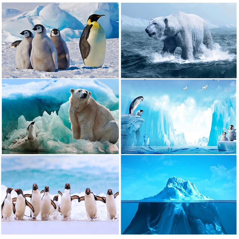 

Winter Polar Bear Photography Background Ice Snow Penguin Photo Backdrop Baby Birthday Party Background Decor Studio YouTub Wall