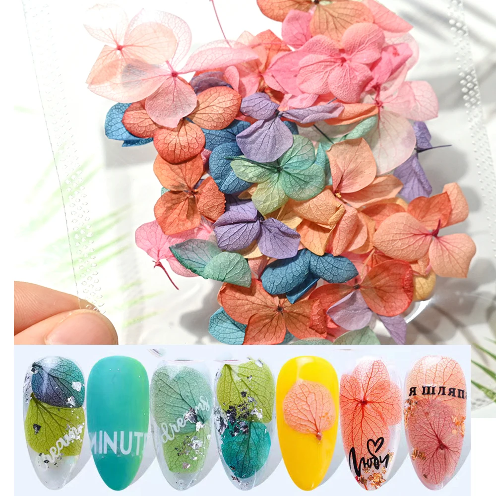 

50pcs Pressed Dried Flower Nail Art Decoration Gradient Colors/Petal Hydrangea Floral Petal DIY Tips Sticker Dry Leaf Decals