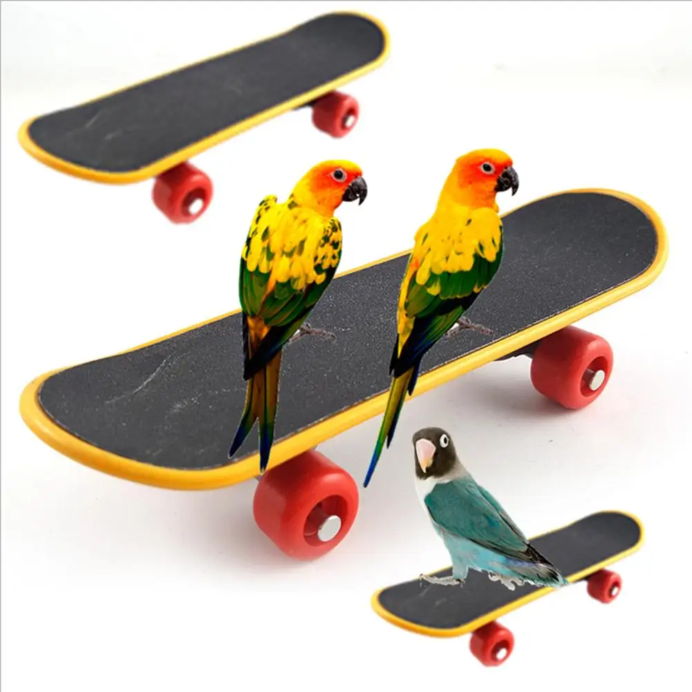 

Mini Durable Skateboard Parrot Bird Cage Toy Chew Training Ornaments Gift