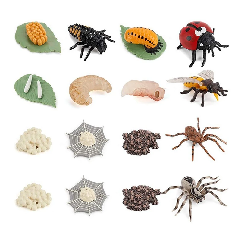 

16PCS Simulation Animal Models Life Cycle Figure Of Ladybug Bee Spider, Realistic Animal Life Cycle Figurine Toy