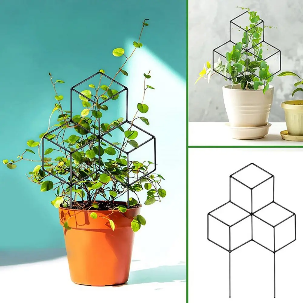 

DIY Vine Rack Flower Vegetables Stake Stand Climbing Holder Climbing Frame Plant Support Fixing Rod