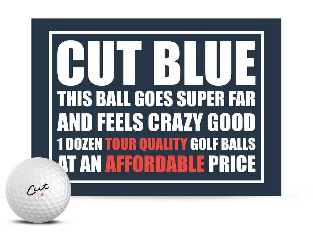 

Golf Balls, 4 Piece Urethane, 12 Pack, White