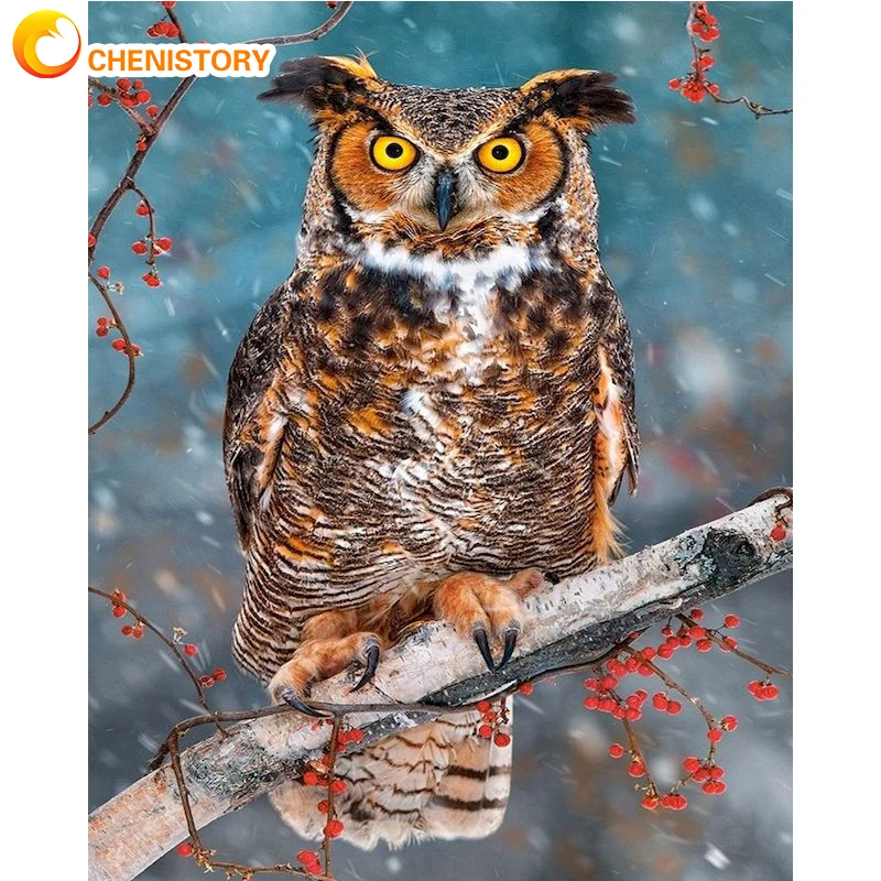 

CHENISTORY Owl Diy Oil Painting By Number Animal For Adults Kids Picture By Numbers Acrylic Paint On Canvas Home Decoration Gift