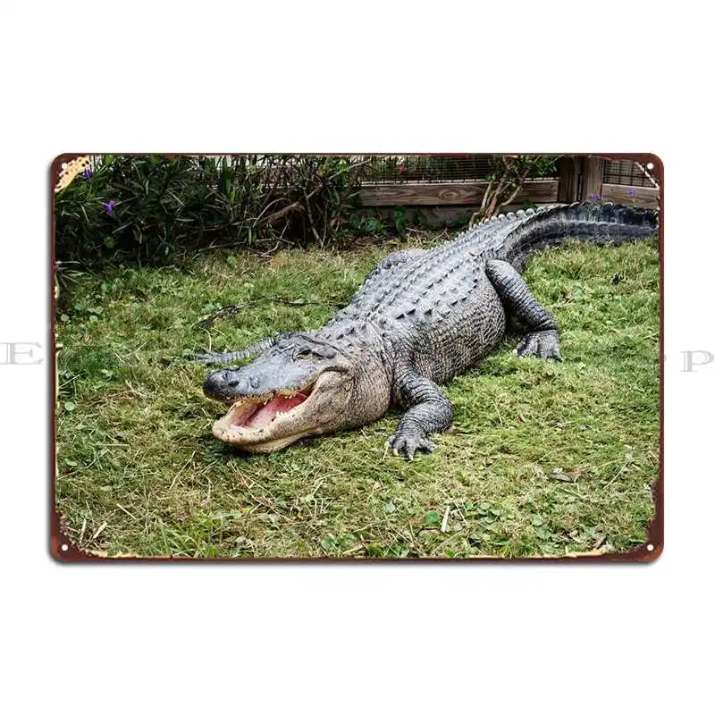 

Это Америка, металлические знаки вечерние, декоративные таблички, индивидуальный фотопостер