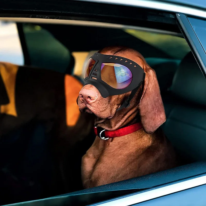 

Cool Pet Dog Goggles Sunglasses Anti-UV Sun Glasses Eye Wear Protection Waterproof Windproof Sunglassess Pets Dogs Supplies