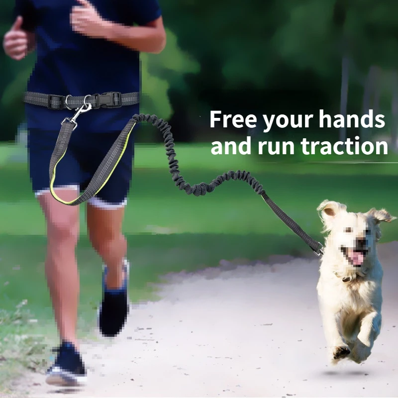 

New harness fashion Running traction rope with waistband Reflective elastic dog harness outdoor sport portable dog supplies