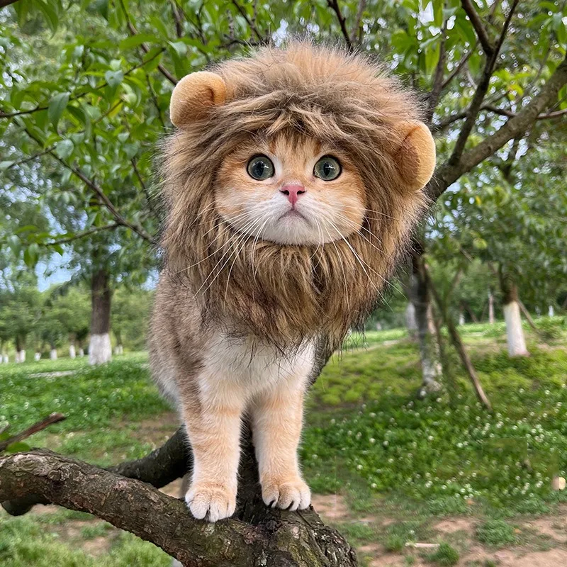 

Lion Mane Cat New Cute Wig Hat for Dogs and Cats Small Dog Pet Cat Decoration Accessories Lion Wig Fancy Hair Cap Pet Supplies