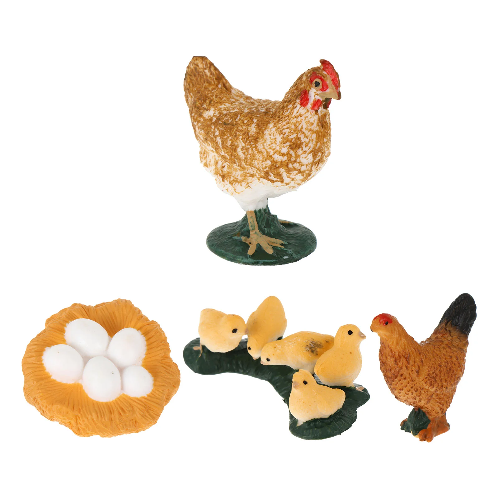 

Cycle Life Chickengrowth Hen Stages Model Chick Poultry Chickensa Project Lifecycle Egg Biology Educational Animal Child Toys