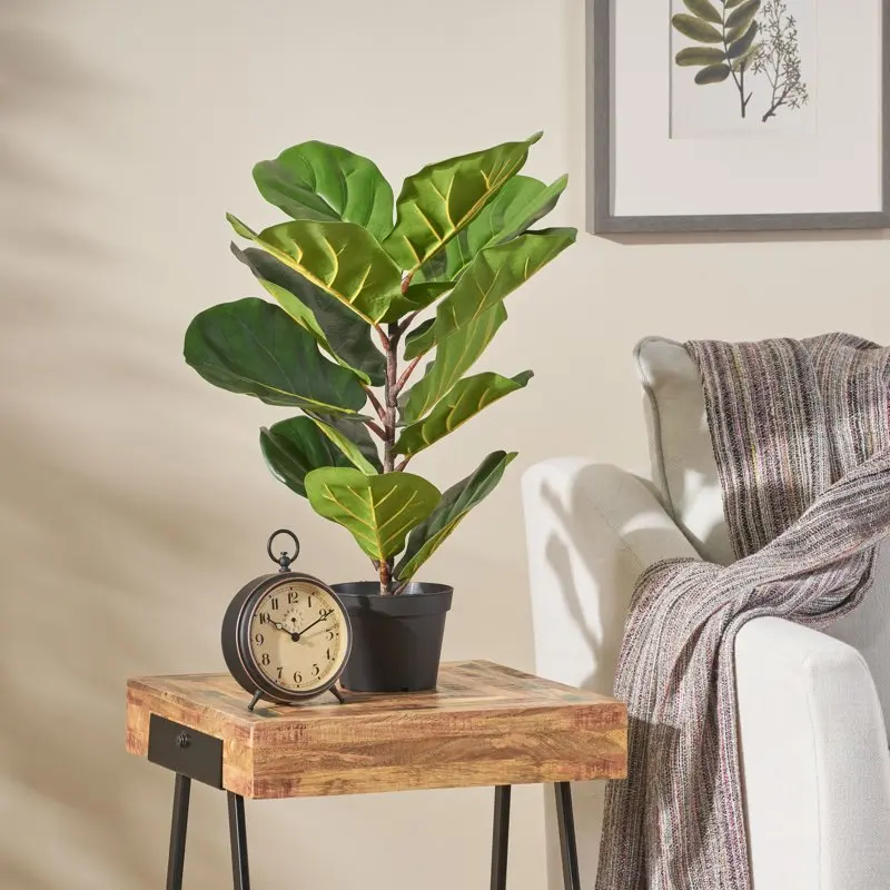 

Elegant 2` x 1` Artificial Green Tabletop Fiddle-Leaf Fig Tree - Perfect for Home and Office Decor