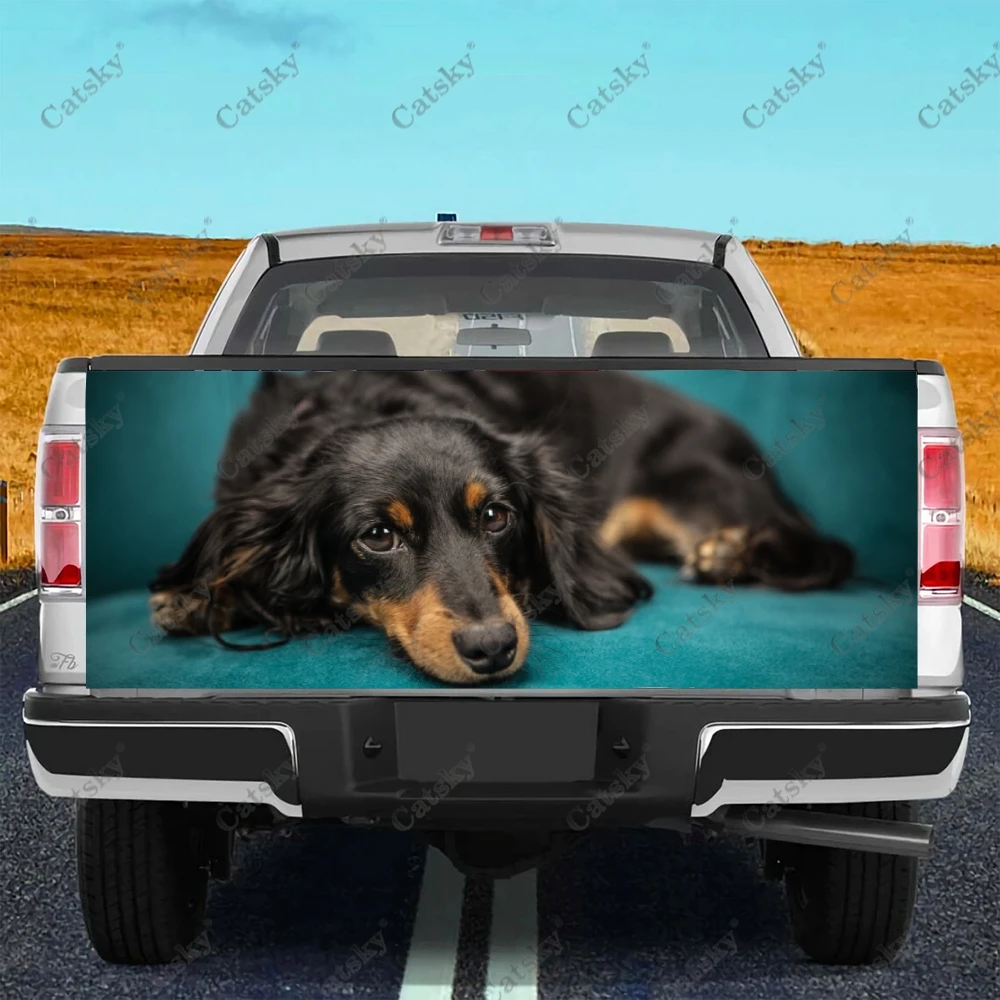 

Задняя картина для модификации грузовика «такса»