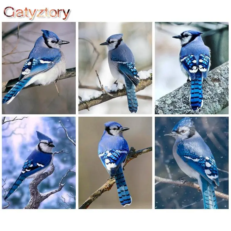 

GATYZTORY Frame Painting By Numbers For Adults 60x75cm Framed Blue Sparrow Animal Picture By Number Modern Home Decoration