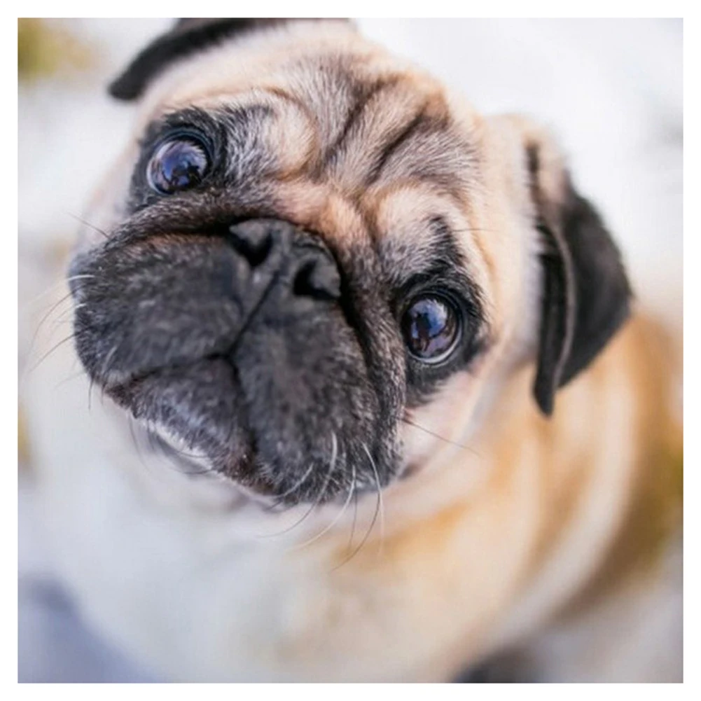 Набор для алмазной мозаики 5D сделай сам |