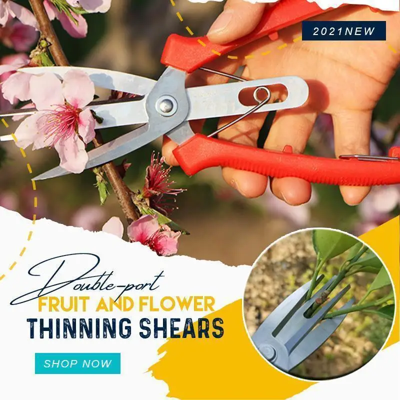 

Lonbor® Agriculture Thinning Scissors Flowers Thinning Shears Multi-use Pruning Tools Double-port Fruit Trees Flowers Thinning