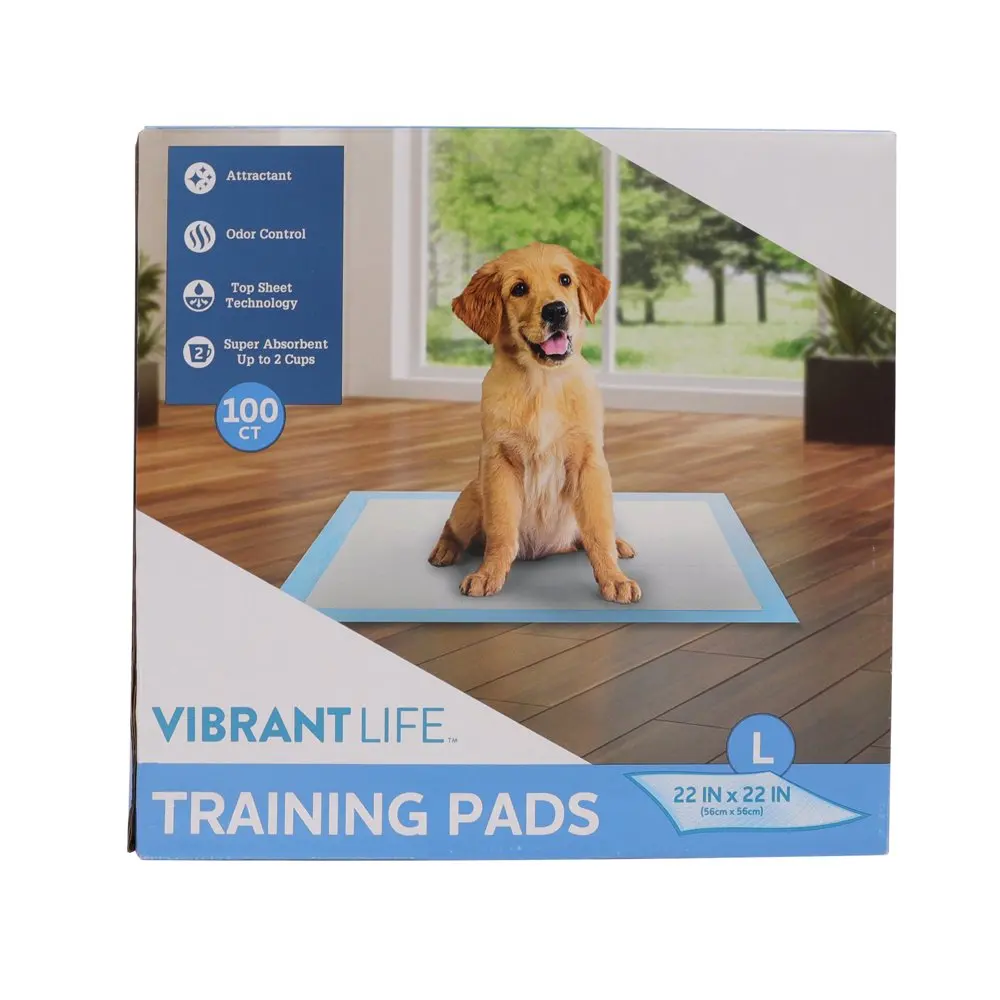 

Training Pads, Large, 22 in x 22 in, 100 Count