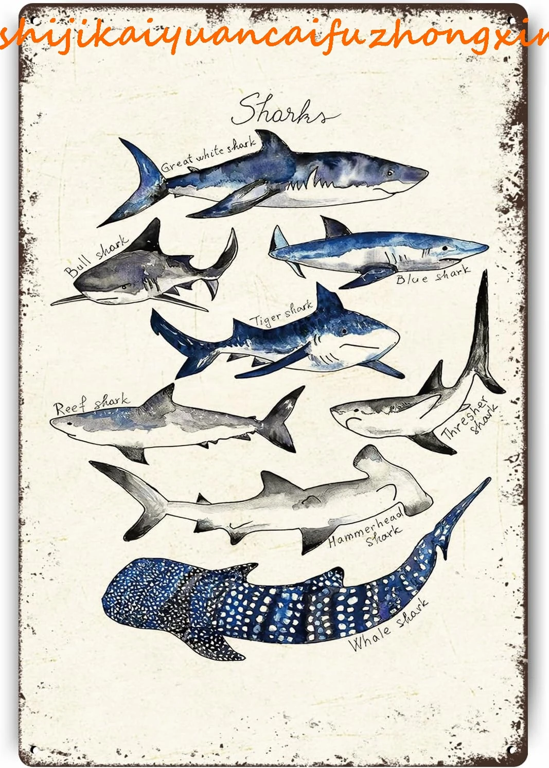 Металлическая табличка Znzd Акула