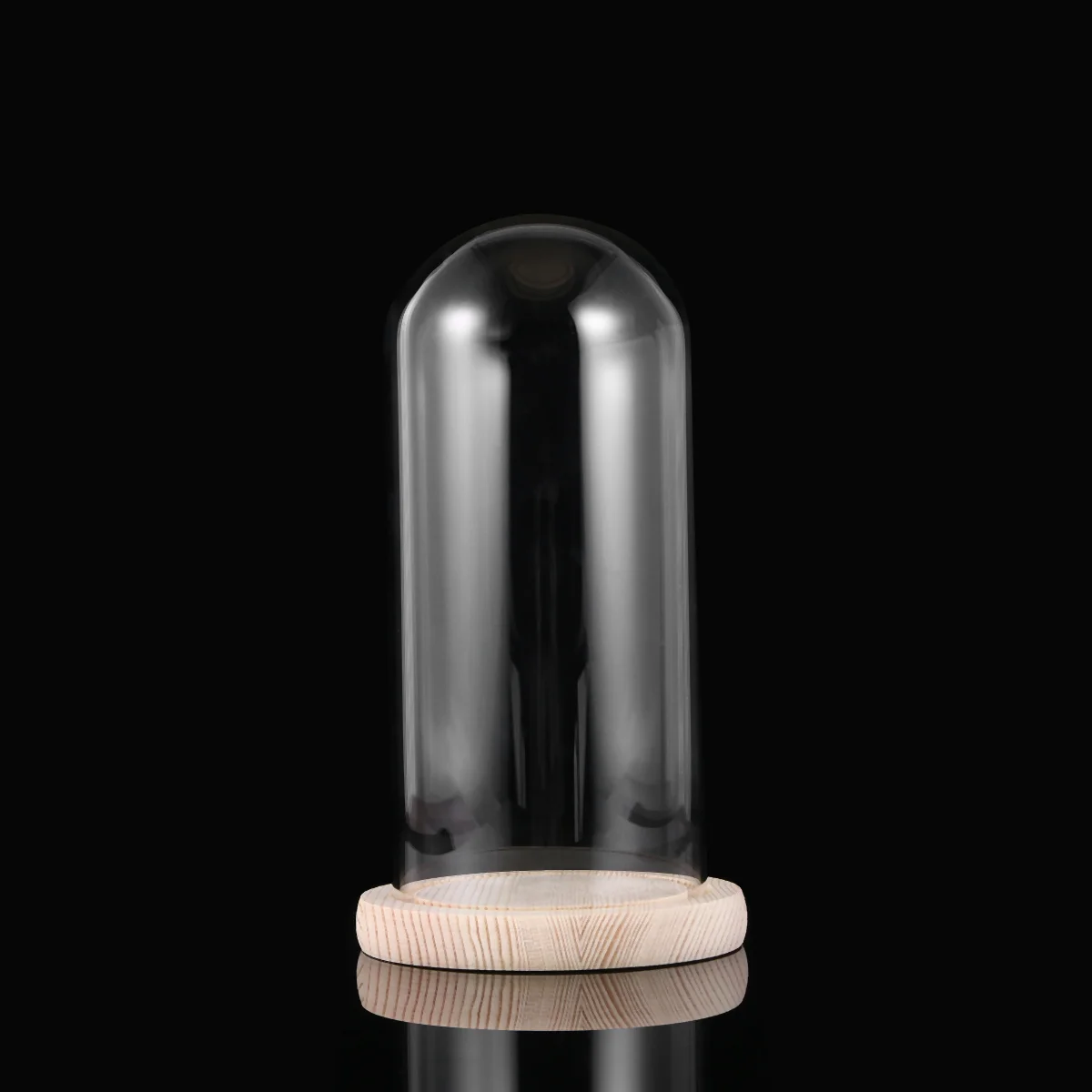 

Dome Cover Cloche Bell Jar Display Case Flower Transparent Fordomes The Standbase Table Centrepiece Christmas Book